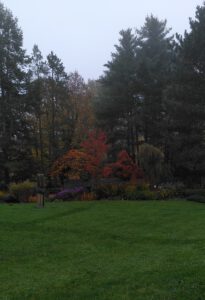 IMG_20221026_112958~2