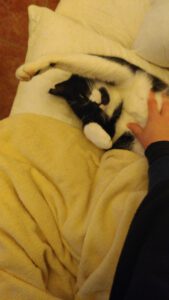 IMG_20230206_164334~2